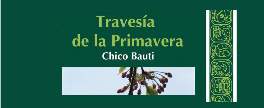 Travesía de la Primavera de Chico Bauti, Reseña