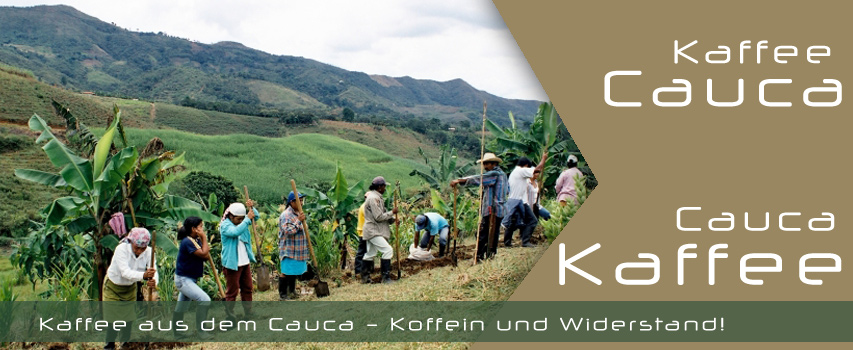 Kaffee aus dem Cauca – Koffein und Widerstand!